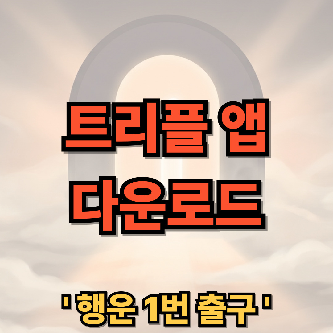 트리플 어플 다운로드 설치 사용법 항공권 앱