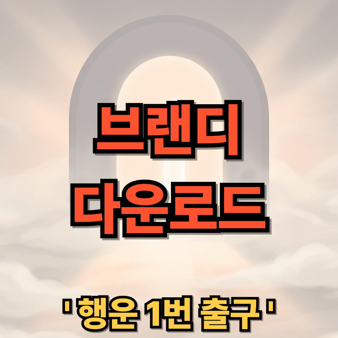 브랜디 다운로드 설치 쇼핑몰 어플 BRANDI
