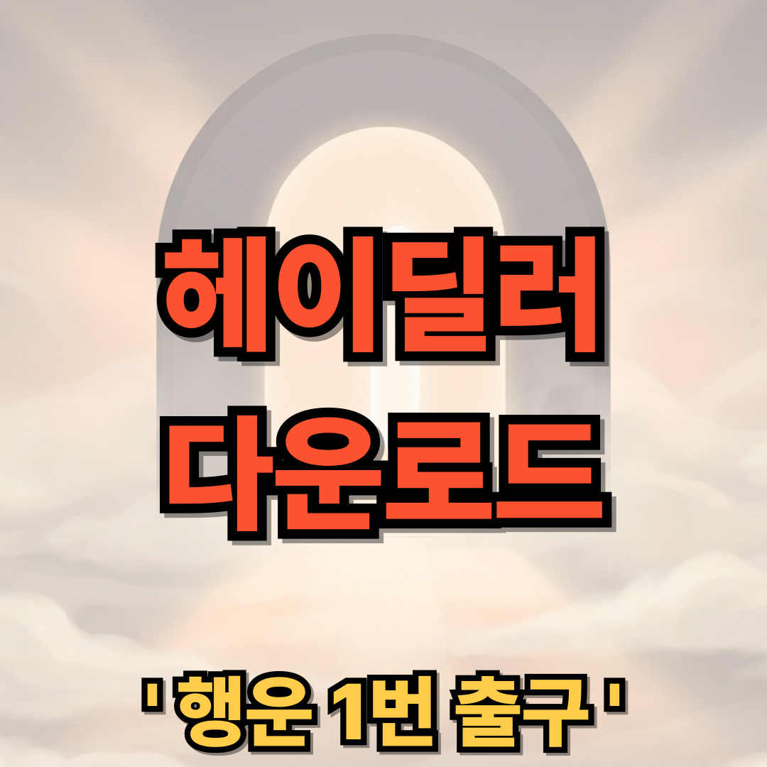 헤이딜러 다운로드 설치