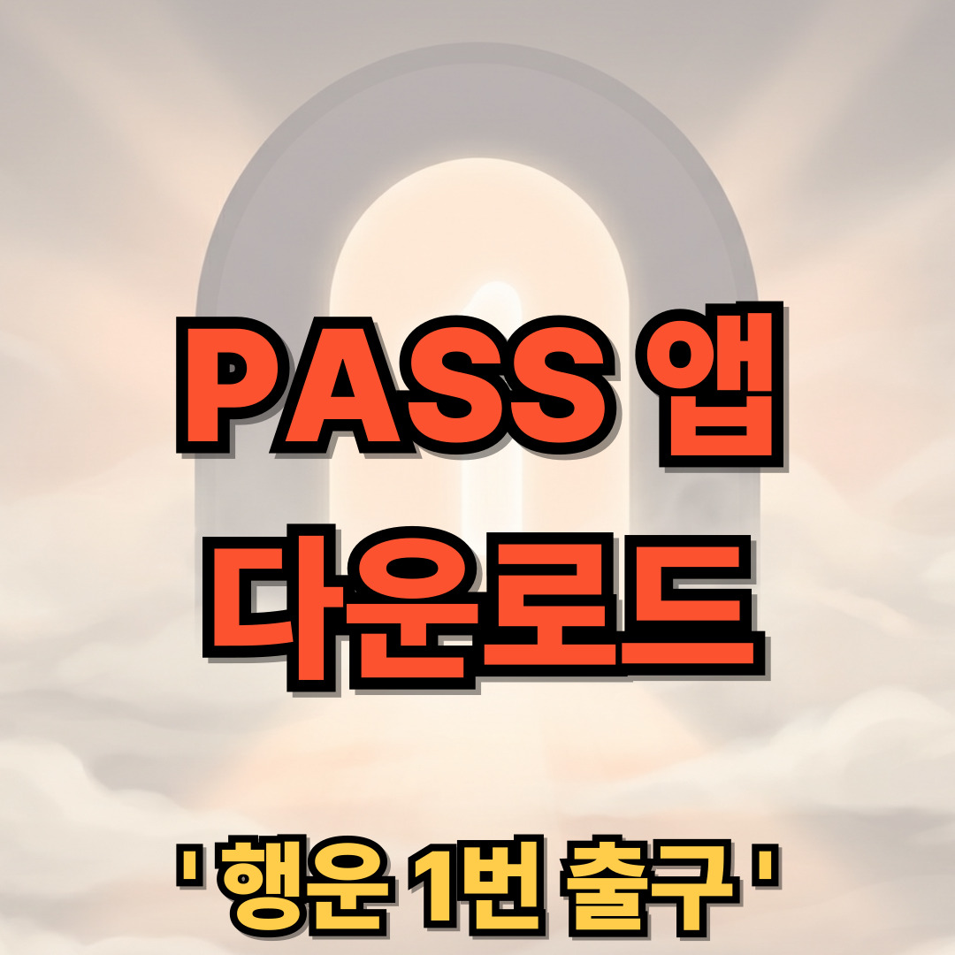 PASS 앱 다운로드 설치 사용법
