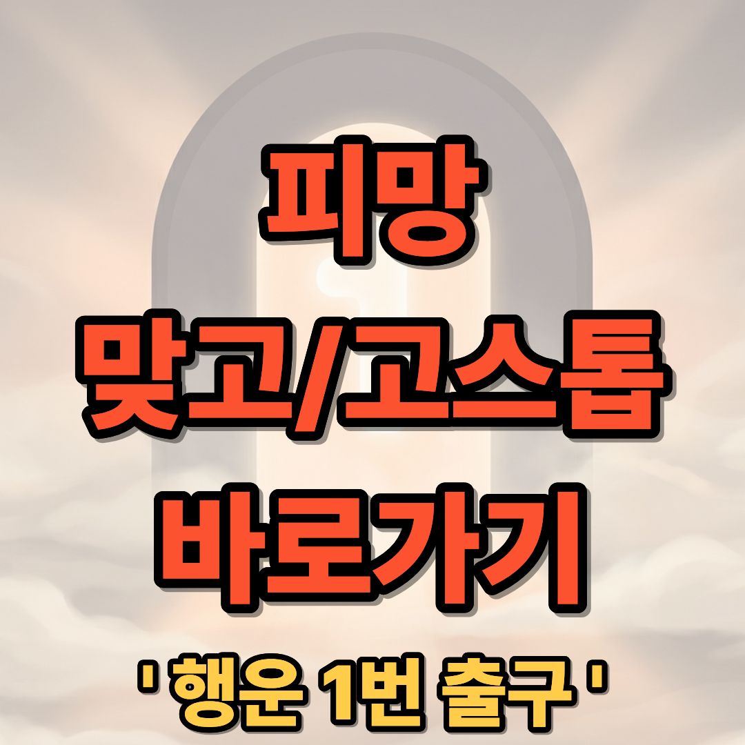 피망 맞고 고스톱 바로가기