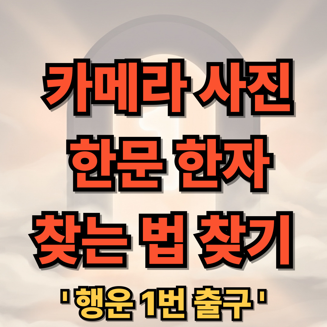네이버 다음 카메라 사진으로 한자 한문 찾는 법 찾기