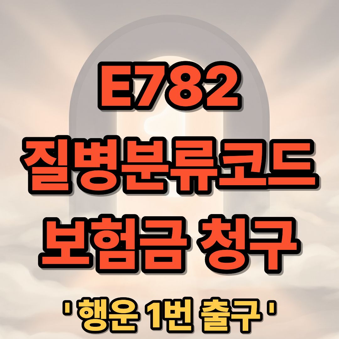 E782 질병분류코드 실비 보험금 청구 방법 및 필수 서류 안내