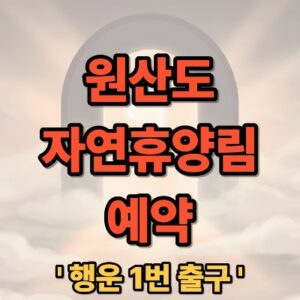 원산도 자연휴양림 예약 솔향채 숲속의집 이용 가이드