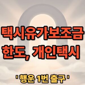 택시유가보조금 한도 및 개인택시 신청 방법 완벽 가이드